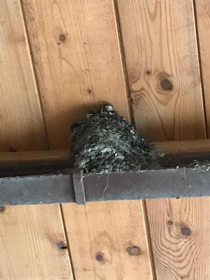 Hering Fewo II Apartment Balcony Wiek auf Rügen Εξωτερικό φωτογραφία