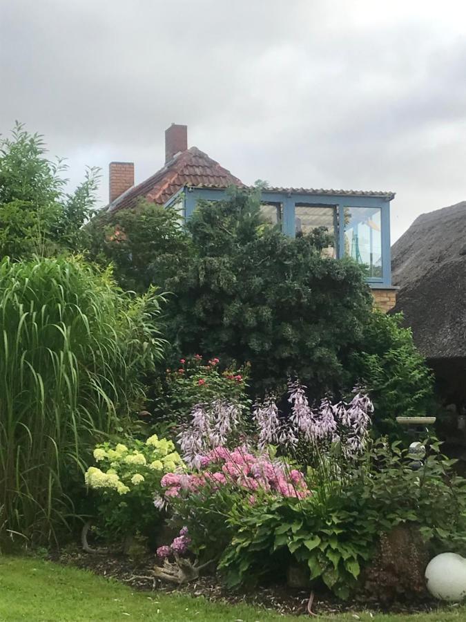 Hering Fewo II Apartment Balcony Wiek auf Rügen Εξωτερικό φωτογραφία